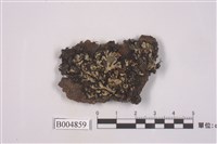 藏品(毛邊黑蜈蚣衣)的圖片